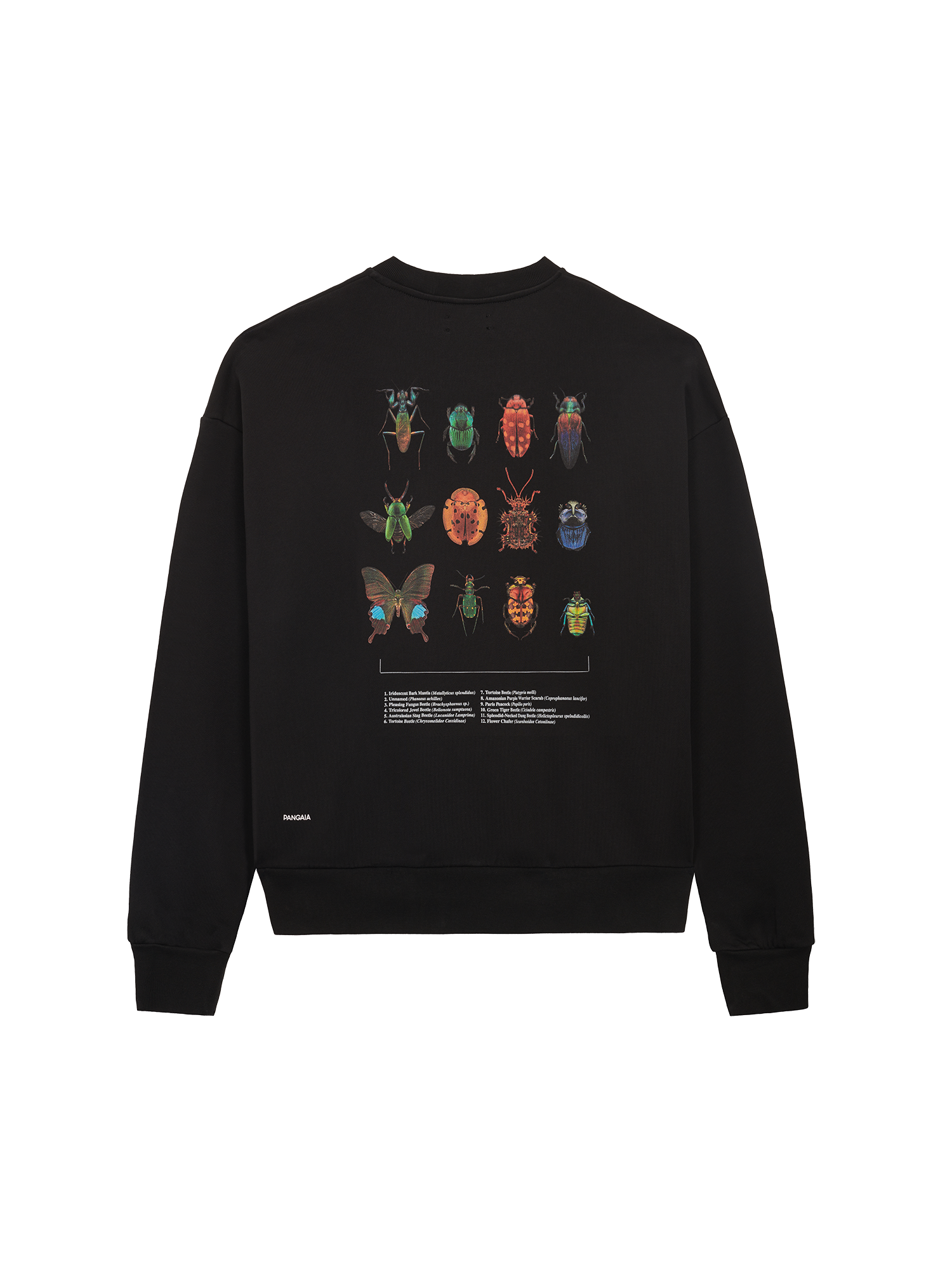 Levon-Biss-Entomologist-Sweatshirt-Black-packshot-3